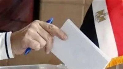 غلق باب التصويت باليوم الثاني والأخير لانتخابات مجلس الشيوخ للمصريين المقيمين في آخر لجنتين بلوس أنجلوس وكاليفورنيا - الخليج الان