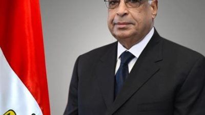 قرار وزاري بإنشاء سجل مدني في الشرقية والمنيا للمواطنين بالخارج - الخليج الان