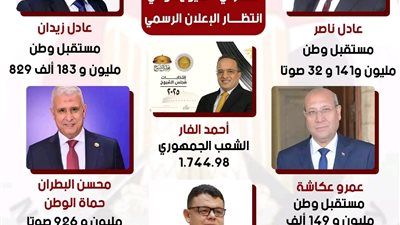 مستقبل وطن يتصدر.. واقتراب حسم مقاعد الجيزة فردي مع حماة الوطن والجبهة «حصر عددي» - الخليج الان