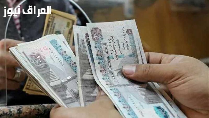 أخبار منتظرة للعمال.. منحة العمالة غير المنتظمة 2025 وتفاصيل الصرف وشروط القبول
