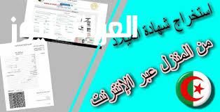 وثيقة مولود رقمية.. كيفية الحصول على شهادة الميلاد الرقمية من الموبايل بضغطة زر واحدة