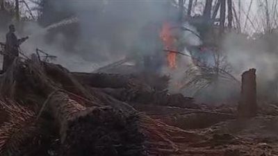 الدفاع المدني يسيطر على حريق ضخم نشب في 500 نخلة بقنا - الخليج الان