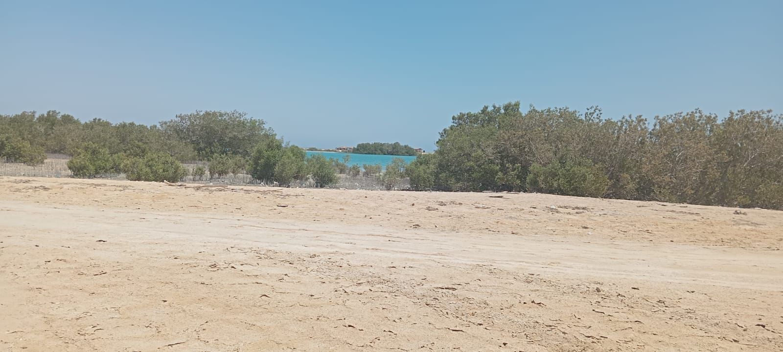 وزارة البيئة تنفذ حملة للتخلص من المخلفات والتوعية بمحمية نبق الطبيعية بجنوب سيناء|تفاصيل - الخليج الان