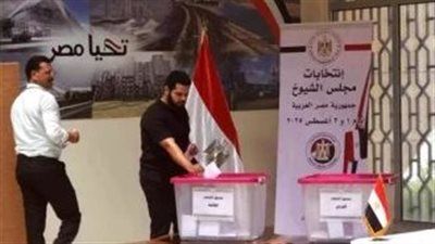 الوطنية للانتخابات: عدم قبول 17 تظلم لخلوها من أي دليل أو مستند.. والنتيجة النهائية يوم الثلاثاء - الخليج الان