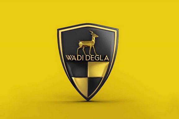 الدوري المصري الممتاز: وجوه جديدة وأسماء بارزة في قائمة وادي دجلة - الخليج الان