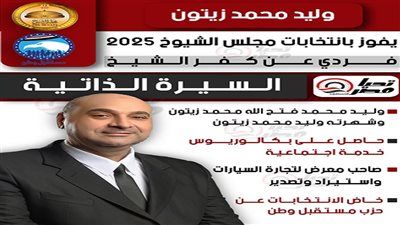 تليجراف الخليج ينشر السيرة للنائب وليد محمد زيتون عضو مجلس الشيوخ - الخليج الان