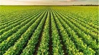 "الزراعة في كل مصر".. جهود ميدانية لحماية الغذاء ودعم التنمية الزراعية - الخليج الان