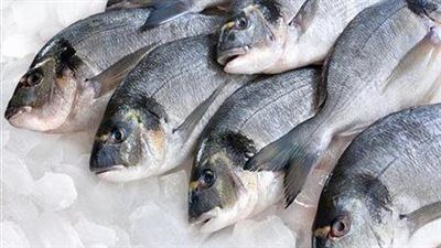 البلطي بـ 77 جنيه.. أسعار الأسماك اليوم الخميس 14 أغسطس 2025 - الخليج الان