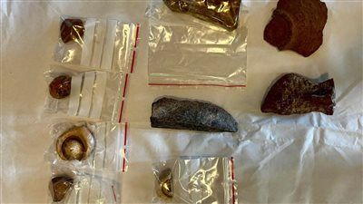 مصر تتسلم مجموعة من القطع الأثرية من هولندا تنتمي لحقب زمنية مختلفة من الحضارة المصرية القديمة - الخليج الان