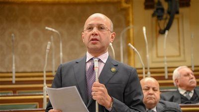 برلماني: مصر ثابتة في رفضها تهجير الفلسطينيين.. ودعوة العالم لعدم المشاركة في هذه الجريمة التاريخية - الخليج الان