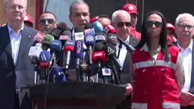 وزير الخارجية: مصر لا يمكن أن تشارك في أي ظلم تاريخي على الشعب الفلسطيني - الخليج الان
