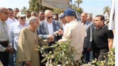 افتتاح موسم جني القطن في بني سويف وسط خطط لزيادة المساحات - الخليج الان