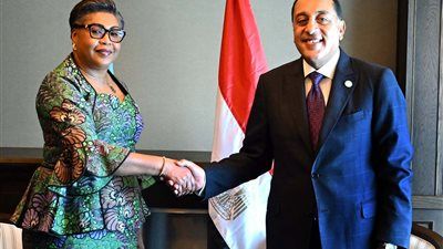 رئيس الوزراء يؤكد استعداد مصر لدعم مجالات التنمية بالكونغو الديمقراطية والمساهمة فى إنشاء أحد السدود - الخليج الان