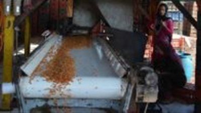 وزير الصناعة: سنعمل على إنشاء مصنع لـ"الزبيب" لتوفير فرص عمل للشباب - الخليج الان