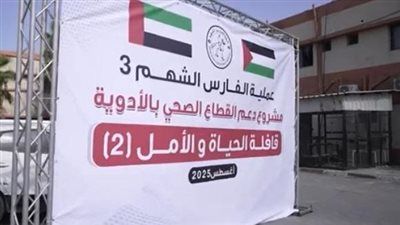 «ضمن مبادرة الفارس الشهم 3».. قافلة إماراتية جديدة لدعم مستشفيات غزة - الخليج الان