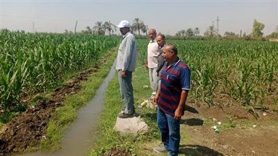 محافظ أسيوط يؤكد: رفع الوعي الزراعي أولوية لتحقيق التنمية المستدامة - الخليج الان