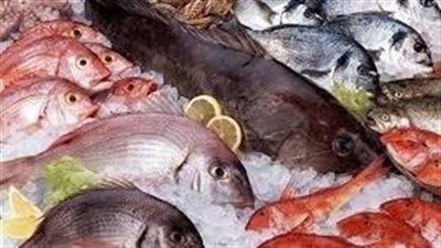 البلطي بـ70 جنيه..أسعار السمك اليوم الأحد 24-8-2025 - الخليج الان