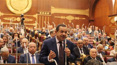 النائب عبد السلام الجبلي: انتهاء مشكلة مستحقات مزارعى القطن يؤكد جهود الدولة للنهوض بالمحصول واستعادة ريادته - الخليج الان