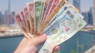 الدرهم الإماراتي يواصل الثبات وسط تحركات طفيفة للعملات الأجنبية - الخليج الان