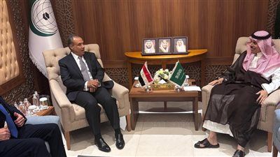 وزيرا خارجية مصر والسعودية يؤكدان على رفضهما للعدوان الإسرائيلي المتواصل على غزة وسياسة التجويع وقتل للمدنيين - الخليج الان