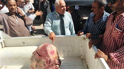 تحرير 113 محضرًا تمويني وإعدام أغذية فاسدة فى المنيا - الخليج الان