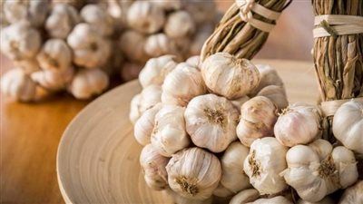 رغم التحديات.. موسم زراعة الثوم يبدأ في مصر - الخليج الان