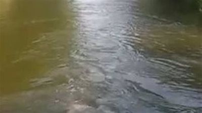 إنتشال جثة طفل من البحر اليوسفي في سمالوط بالمنيا - الخليج الان