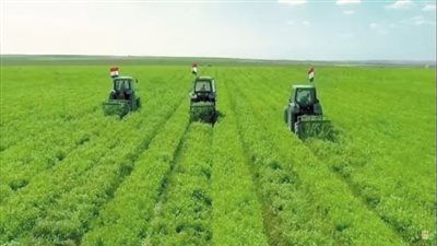 أهمية مواعيد زراعة المحاصيل الشتوية: مفتاح نجاح الموسم الزراعي - الخليج الان