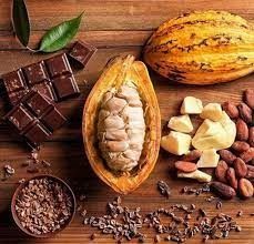 زراعة الكاكاو في مصر: تجربة لم تُكلل بالنجاح.. فما السبب - الخليج الان