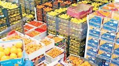 الصادرات الغذائية المصرية : أداء قياسي وطلب متزايد من 186 دولة - الخليج الان