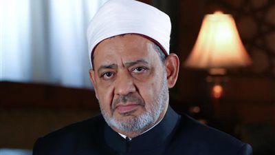 شيخ الأزهر: فلسطين لن تُحمى إلا بتضامن عربي وإسلامي حقيقي - الخليج الان