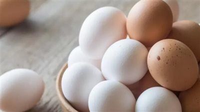 تراجع أسعار البيض والدواجن في الأسواق المصرية مع بداية سبتمبر - الخليج الان