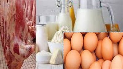 تخفيضات تصل إلى 30% على اللحوم والدواجن والحلويات في معرض "أهلاً مدارس" - الخليج الان