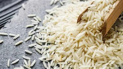 نجاح زراعة الأرز البسمتي في مصر: خطوة نحو الاكتفاء وتقليل الاستيراد - الخليج الان