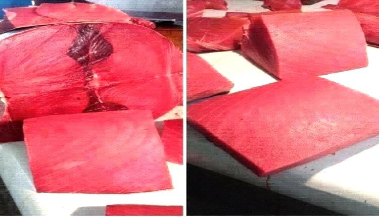 أسعار الأسماك اليوم الثلاثاء فى عدن 9 سبتمبر 2025م