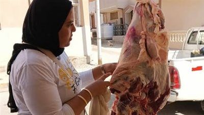 الطب البيطري بالبحر الأحمر ينفذ حملة تفتيشية بمدينة القصير لضبط الأسواق - الخليج الان