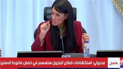 وزيرة التخطيط: السردية الاقتصادية الجديدة تُعيد تعريف دور الدولة وتمكّن القطاع الخاص - الخليج الان