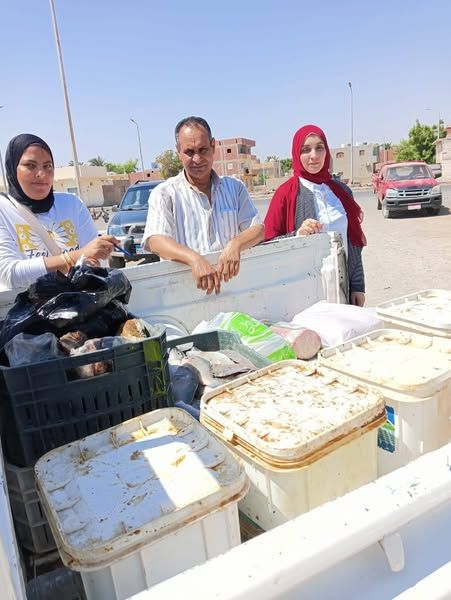 الطب البيطري بالبحر الأحمر ينفذ حملة تفتيشية بمدينة القصير لضبط الأسواق - الخليج الان