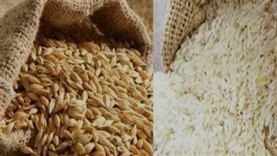 الأرز الأبيض والشعير.. لعبة الأرقام تكشف أسرار السوق - الخليج الان
