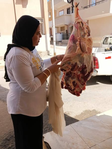 الطب البيطري بالبحر الأحمر ينفذ حملة تفتيشية بمدينة القصير لضبط الأسواق - الخليج الان