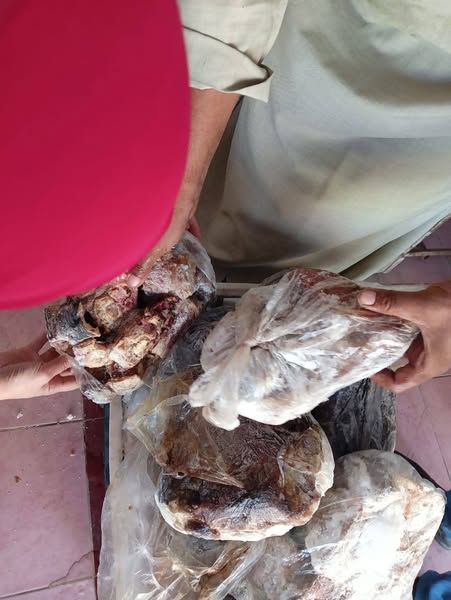 الطب البيطري بالبحر الأحمر ينفذ حملة تفتيشية بمدينة القصير لضبط الأسواق - الخليج الان
