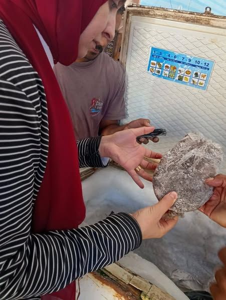 الطب البيطري بالبحر الأحمر ينفذ حملة تفتيشية بمدينة القصير لضبط الأسواق - الخليج الان