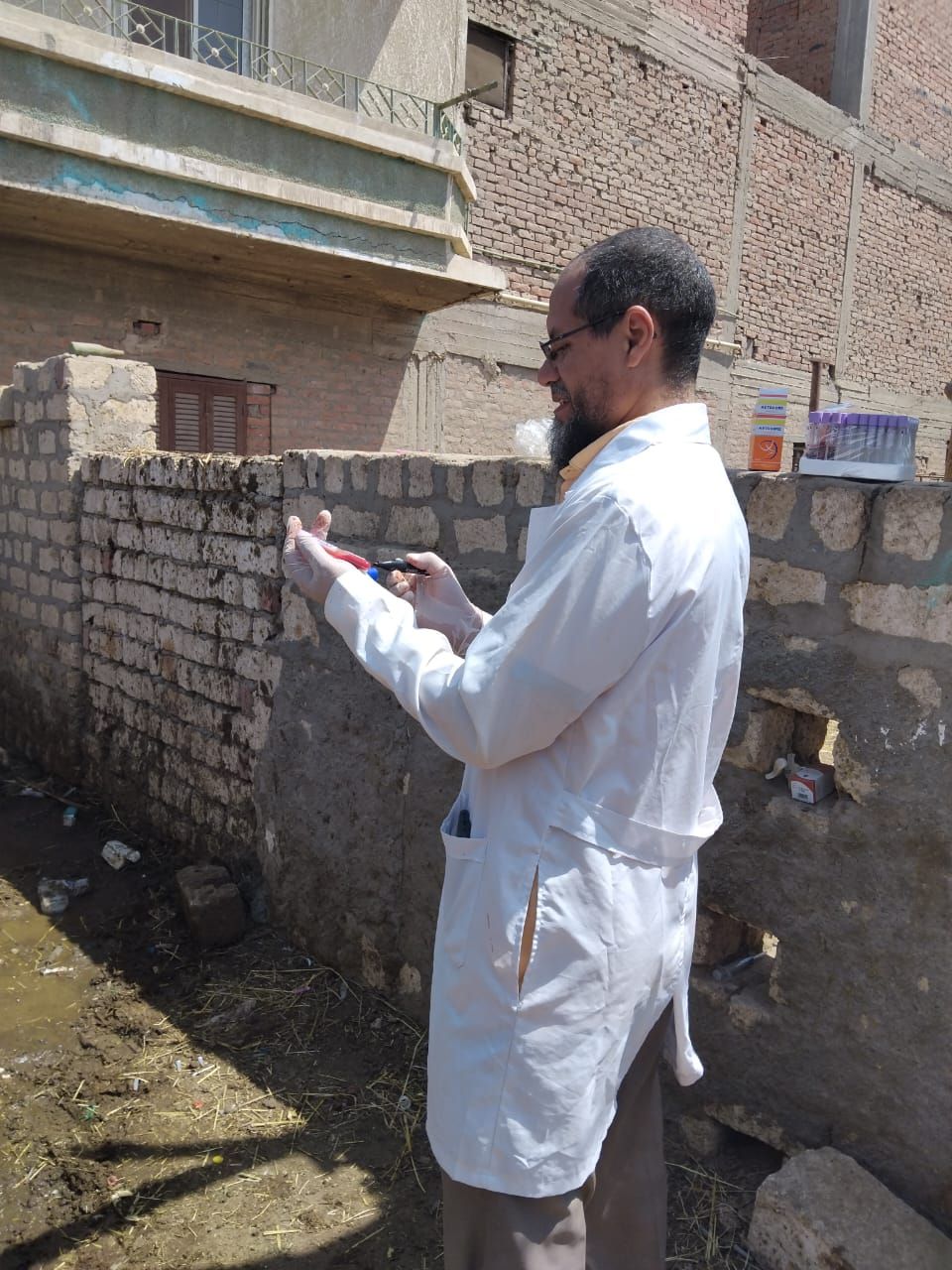 تحصين 80293 رأس ماشية ضد مرضي الحمى القلاعية والوادي المتصدع في الفيوم - الخليج الان