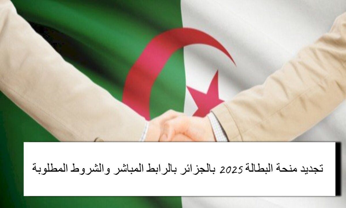 رابط مباشر وأهم الشروط المطلوبة … خطوات تجديد منحة البطالة 2025 بالجزائر وحقيقة الإلغاء