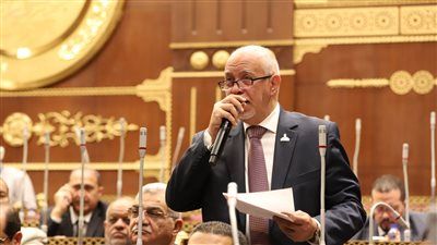 النائب حازم الجندي: كلمة الرئيس السيسي بالقمة العربية الإسلامية تمثل خارطة طريق لمواجهة التحديات الإقليمية - الخليج الان