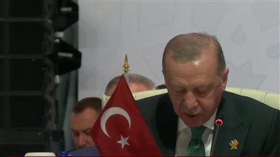 أردوغان بالقمة العربية الإسلامية: الهجوم على الدوحة رفع من العربدة الإسرائيلية إلى مستوى غير مسبوق - الخليج الان