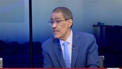 ضياء رشوان: القضية الفلسطينية معقدة ولا حل لها دون عدالة وتضحيات كبيرة - الخليج الان