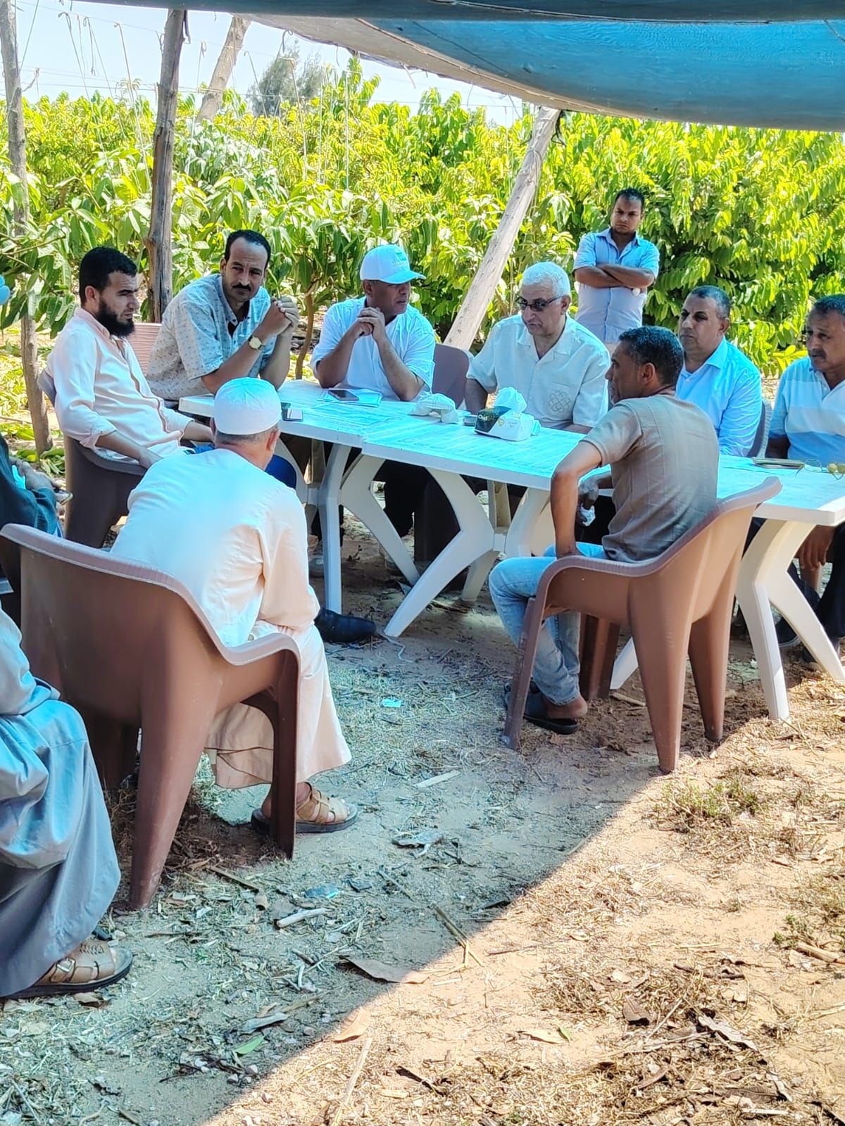 رئيس قطاع استصلاح الأراضي يتفقد جمعيات ومزارع قرى الاستصلاح بالنوبارية - الخليج الان