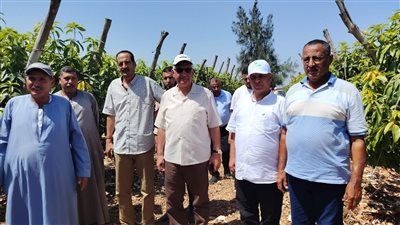 رئيس قطاع استصلاح الأراضي يتفقد جمعيات ومزارع قرى الاستصلاح بالنوبارية - الخليج الان