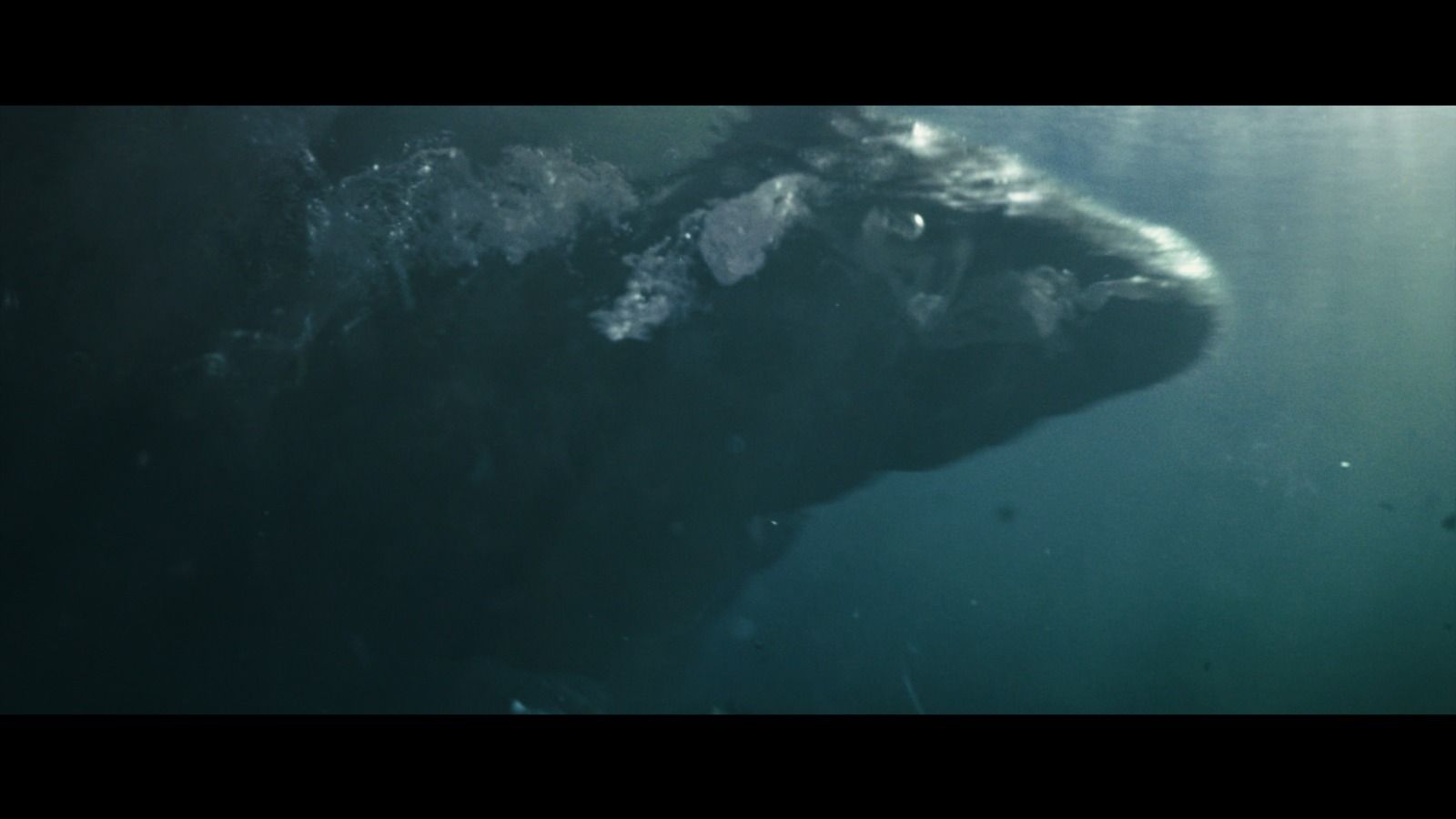 إطلاق الإعلان التشويقي لـ فيلم أوسكار عودة الماموث.. في أول تجربة مصرية ضخمة - الخليج الان